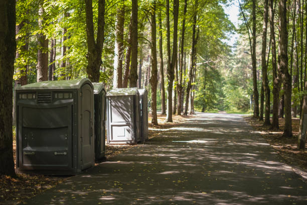 How Our Tree Care Process Works  in  Cherry Hill, VA
